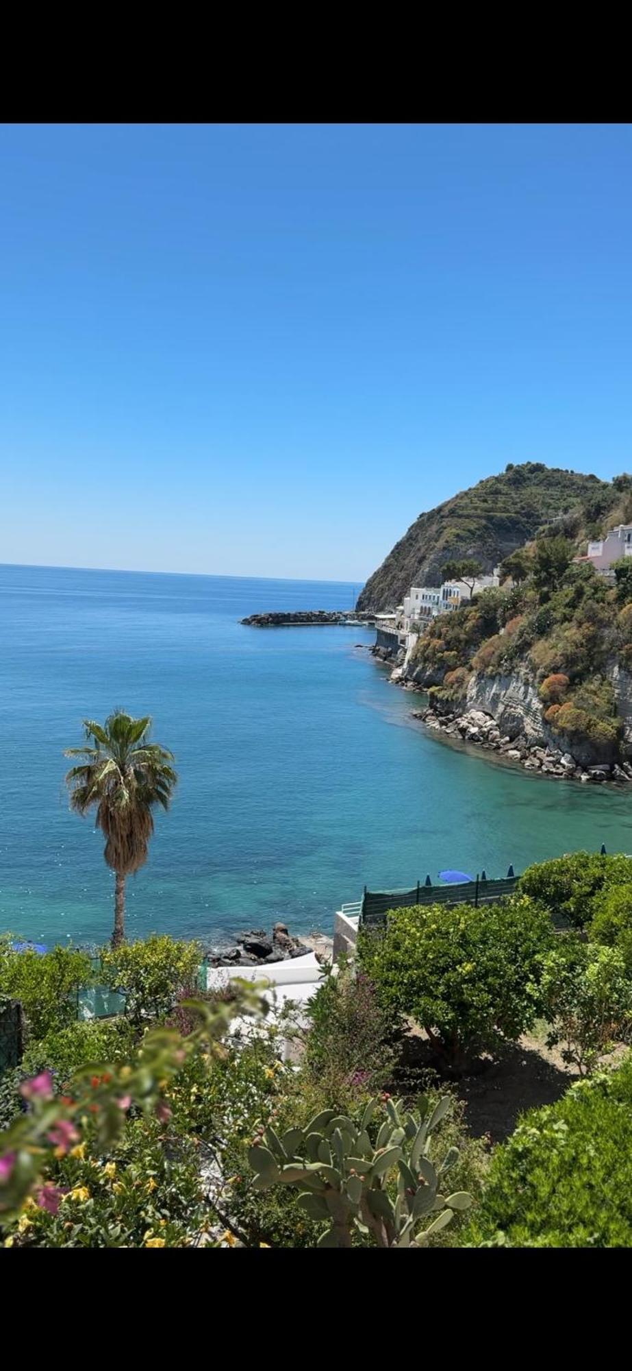 Hotel Casa Rosa Sea & Spa Sant'Angelo  Εξωτερικό φωτογραφία